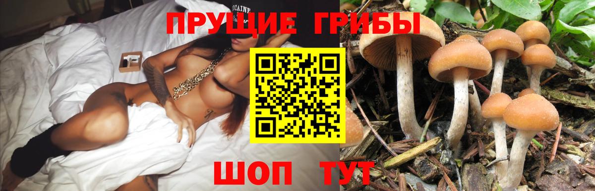Псилоцибиновые грибы ЛСД  Вход с VPN  что такое   Воронеж 